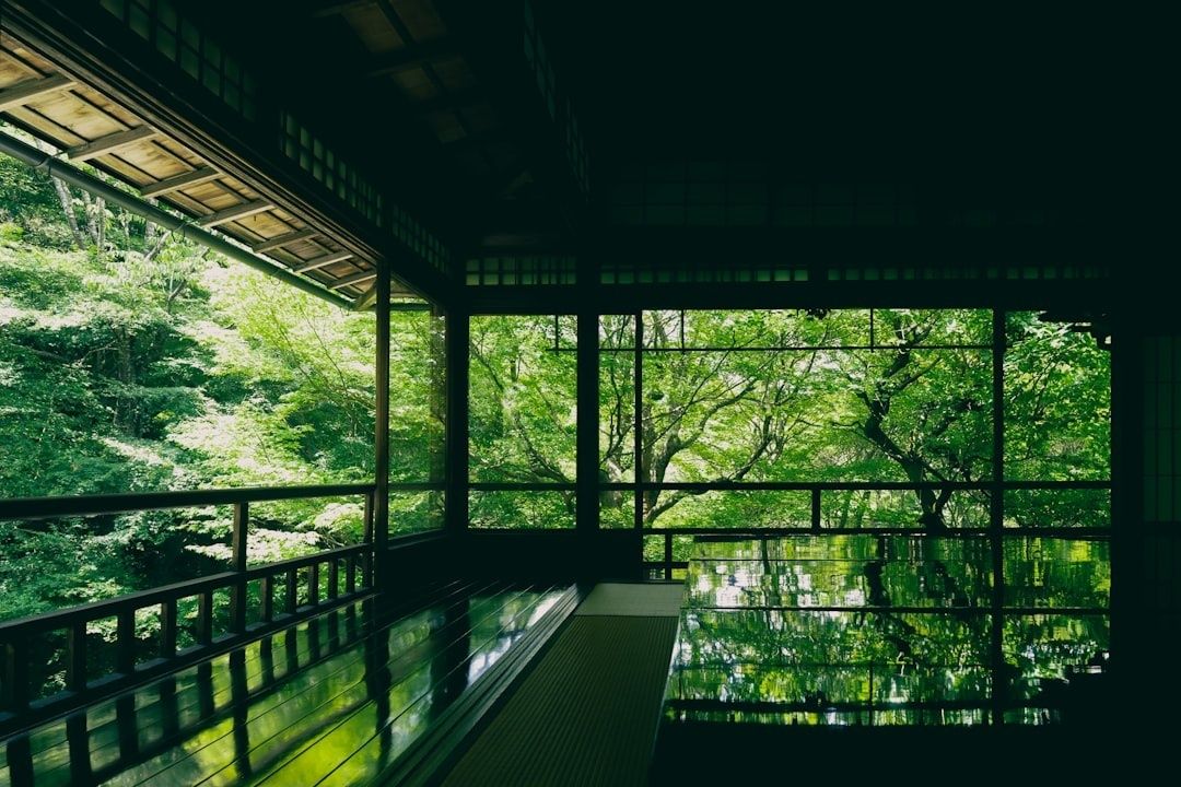 Open Japanese-style room framing a lush green forest through dark timber windows